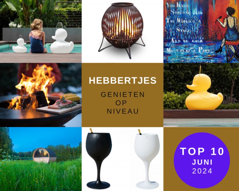 De TOP 10 Hebbertjes van juni 2024 - Hebbertjes - 2HB